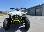 Angebot CFMOTO CFORCE EV110