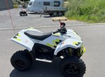 Angebot CFMOTO CFORCE EV110