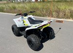 Angebot CFMOTO CFORCE EV110