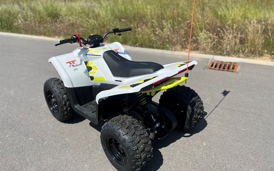Neufahrzeug CFMOTO CFORCE EV110 - Bild 5