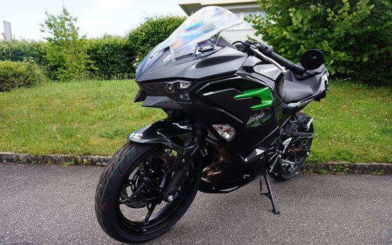 Motorrad Occasion Kawasaki Ninja 500 - Bild 2