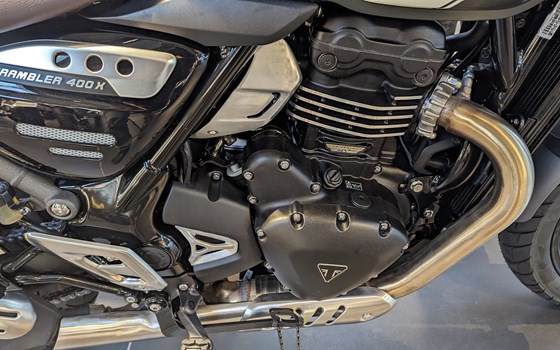 Neufahrzeug Triumph Scrambler 400 X - Bild 5