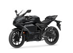 Angebot Yamaha R3