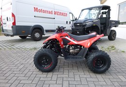 Neumotorrad CFMOTO CForce 110