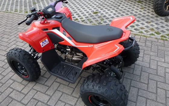 Neufahrzeug CFMOTO CForce 110 - Bild 3