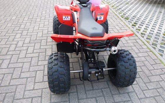 Neufahrzeug CFMOTO CForce 110 - Bild 4
