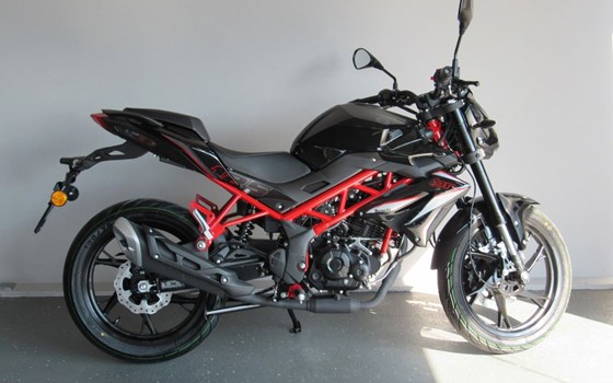 Neufahrzeug Benelli BN 125 - Bild 5