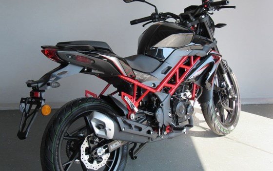 Neufahrzeug Benelli BN 125 - Bild 6