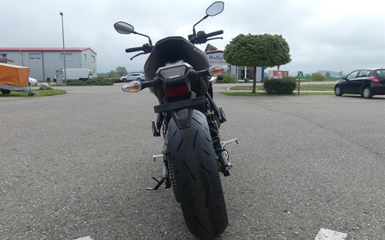 Neufahrzeug Suzuki GSX-8S - Bild 7