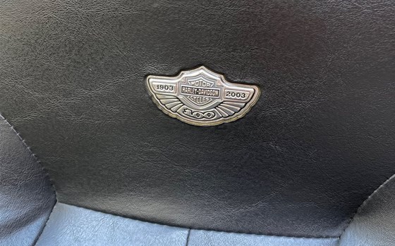 Gebrauchtmotorrad Harley-Davidson Electra Glide Classic FLHTC - Bild 2 Gebrauchtmotorrad Harley-Davidson Electra Glide Classic FLHTC - Bild 2