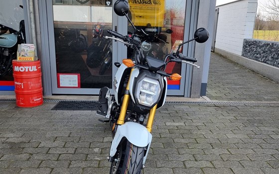 Neufahrzeug Honda MSX125 Grom - Bild 3