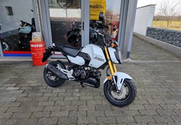 Neumotorrad Honda MSX125 Grom