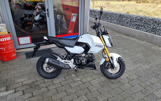 Neufahrzeug Honda MSX125 Grom - Bild 2