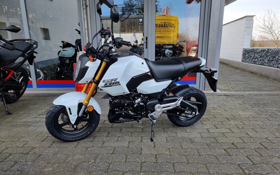 Neufahrzeug Honda MSX125 Grom - Bild 4