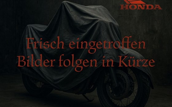 Gebrauchtmotorrad Vespa Elettrica - Bild 1