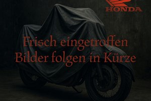 Angebot Vespa Elettrica