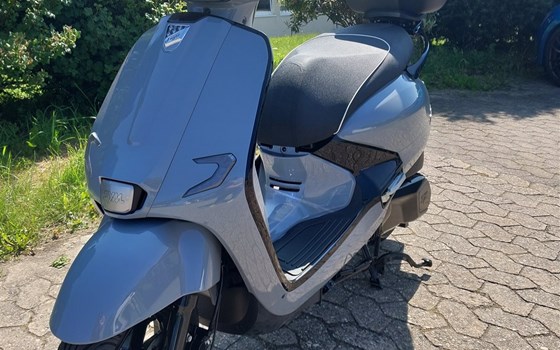 Neufahrzeug Sym Fugue 125i AC ABS - Bild 2