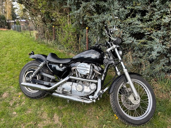 Gebrauchtmotorrad Harley-Davidson Sportster XL 1200