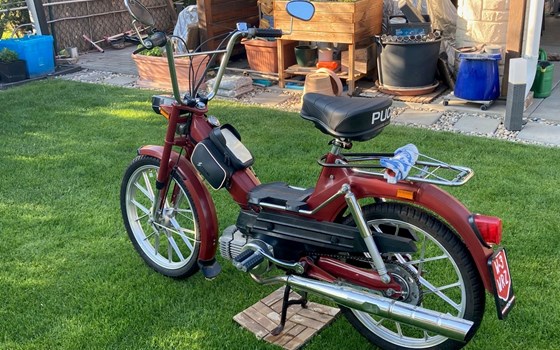 Gebrauchtmotorrad Puch Maxi - Bild 3 Gebrauchtmotorrad Puch Maxi - Bild 3