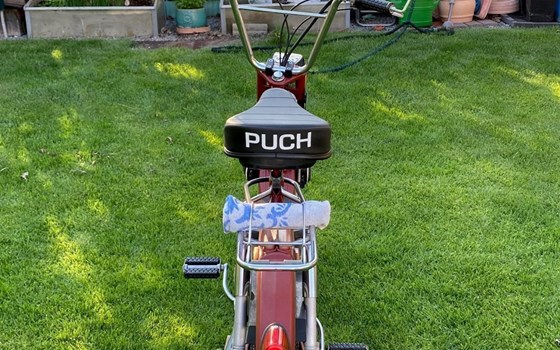 Gebrauchtmotorrad Puch Maxi - Bild 5 Gebrauchtmotorrad Puch Maxi - Bild 5