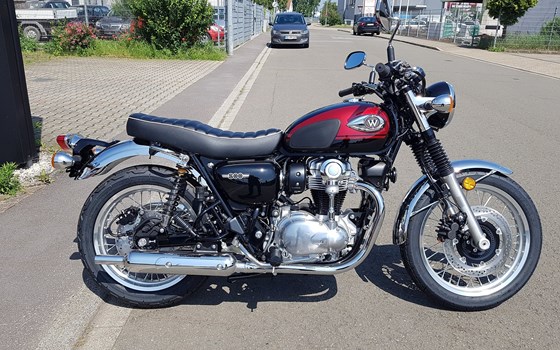 Neufahrzeug Kawasaki W800 - Bild 1