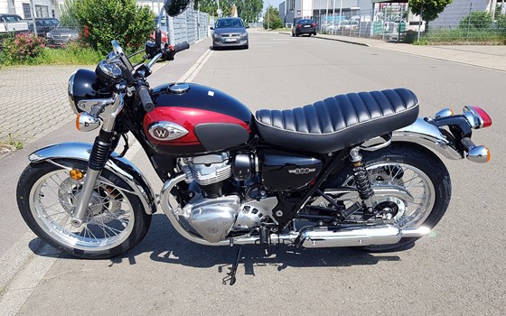 Neufahrzeug Kawasaki W800 - Bild 3