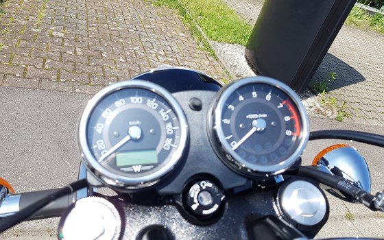 Neufahrzeug Kawasaki W800 - Bild 8