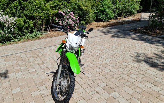 Gebrauchtmotorrad Kawasaki KLX 125 - Bild 5