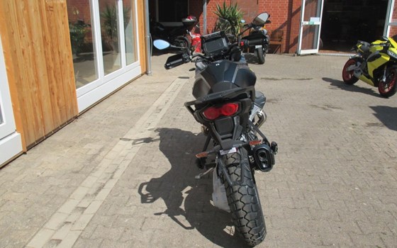 Neufahrzeug Moto Guzzi Stelvio PFF - Bild 4