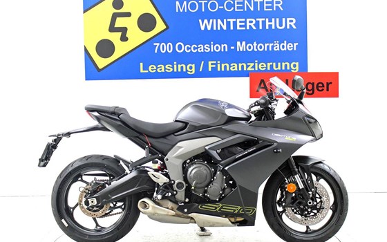Neufahrzeug Triumph Daytona 660 - Bild 1