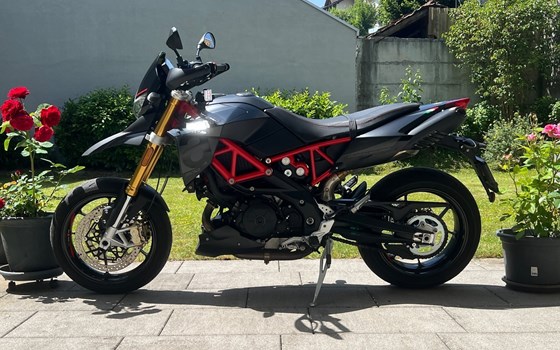 Motorrad Occasion Aprilia Dorsoduro 900 - Bild 1