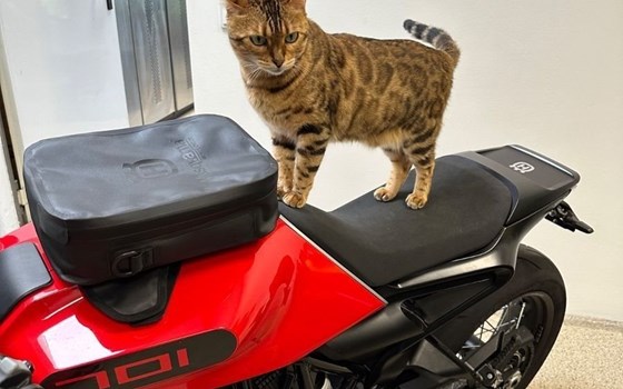 Gebrauchtmotorrad Husqvarna Vitpilen 701 - Bild 14