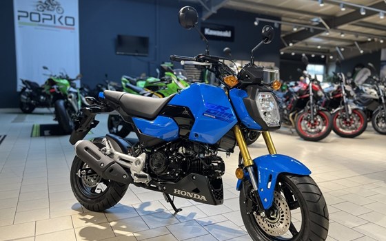 Neufahrzeug Honda MSX125 Grom - Bild 1