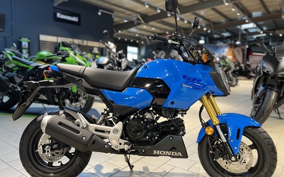 Neufahrzeug Honda MSX125 Grom - Bild 2