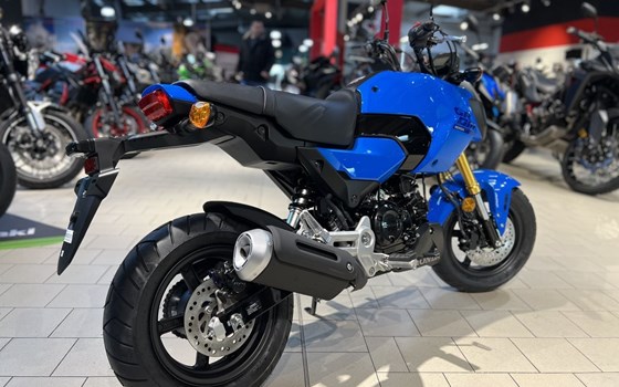 Neufahrzeug Honda MSX125 Grom - Bild 3
