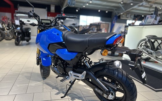 Neufahrzeug Honda MSX125 Grom - Bild 6