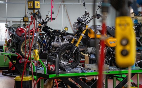 Neufahrzeug Honda MSX125 Grom - Bild 8