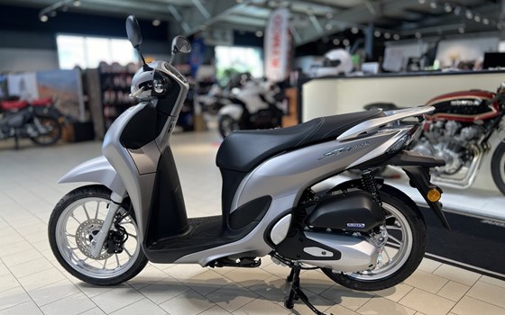 Neufahrzeug Honda SH125 - Bild 4