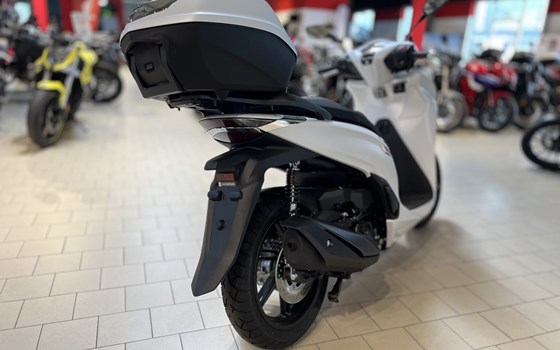 Neufahrzeug Honda SH350i - Bild 6