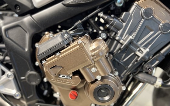 Neufahrzeug Honda CB650R E-Clutch - Bild 11