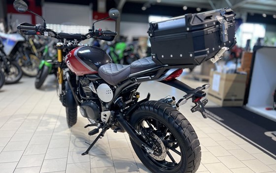 Gebrauchtmotorrad Triumph Scrambler 400 X - Bild 4