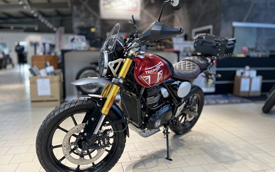 Gebrauchtmotorrad Triumph Scrambler 400 X - Bild 6