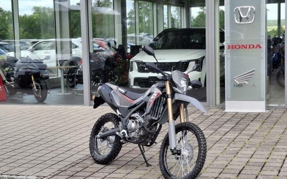 Neufahrzeug Honda CRF300L - Bild 1