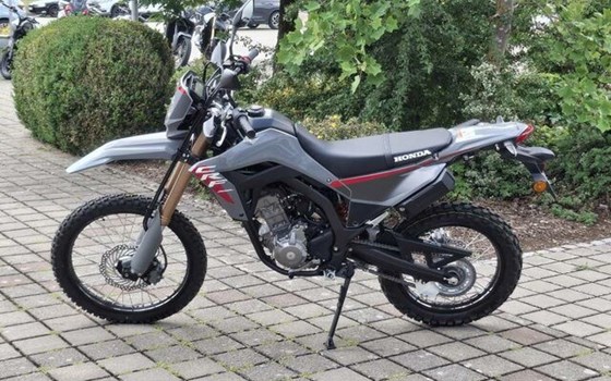 Neufahrzeug Honda CRF300L - Bild 3