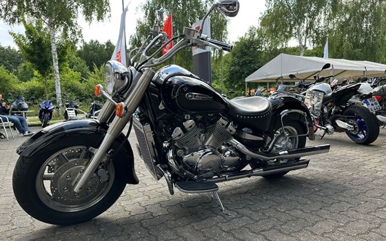 Gebrauchtmotorrad Yamaha XVZ 1300 Royal Star - Bild 7