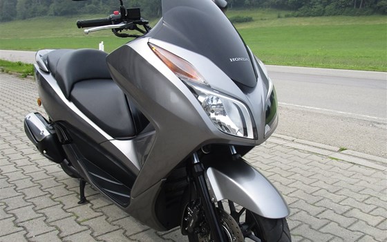 Gebrauchtmotorrad Honda Forza 300 - Bild 2
