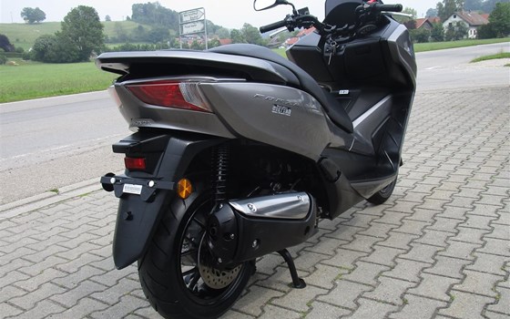 Gebrauchtmotorrad Honda Forza 300 - Bild 4
