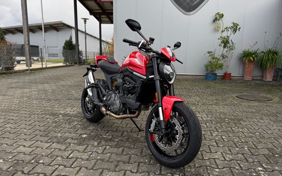 Gebrauchtmotorrad Ducati Monster + - Bild 1