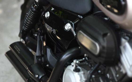 Neufahrzeug Benda Chinchilla 300 - Bild 11