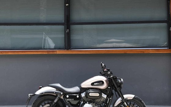 Neufahrzeug Benda Chinchilla 300 - Bild 6